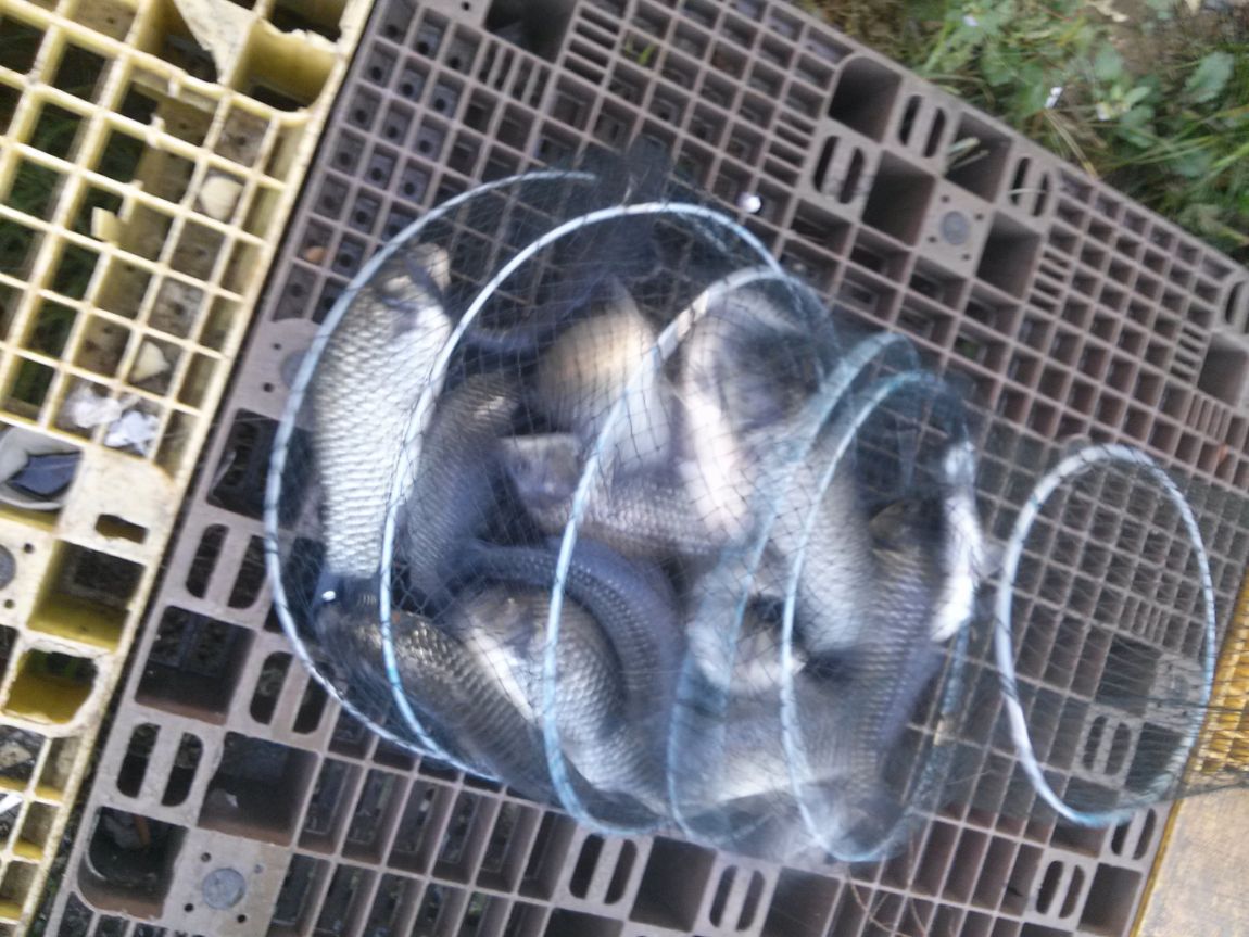 CAM03171.jpg