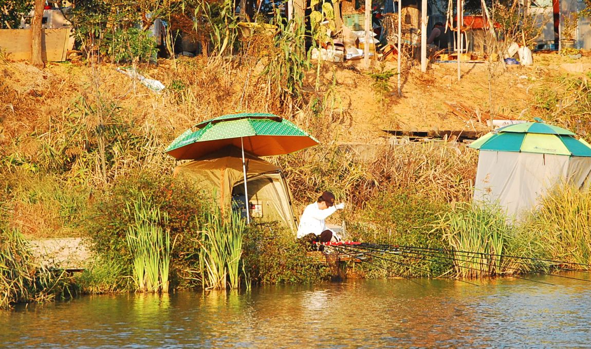 �ٹ̱�_DSC_0309.JPG