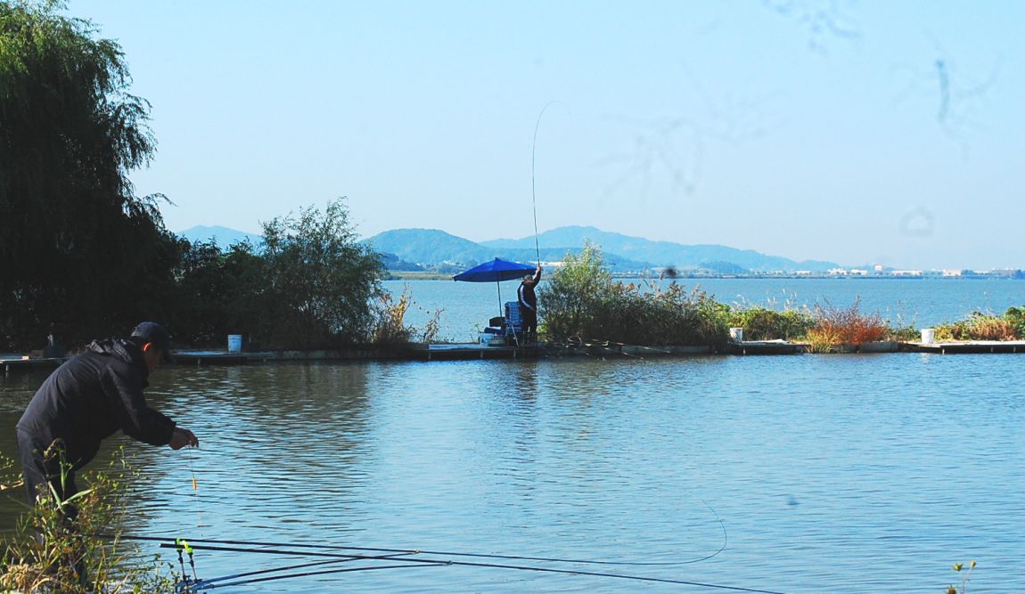 �ٹ̱�_DSC_0368.JPG
