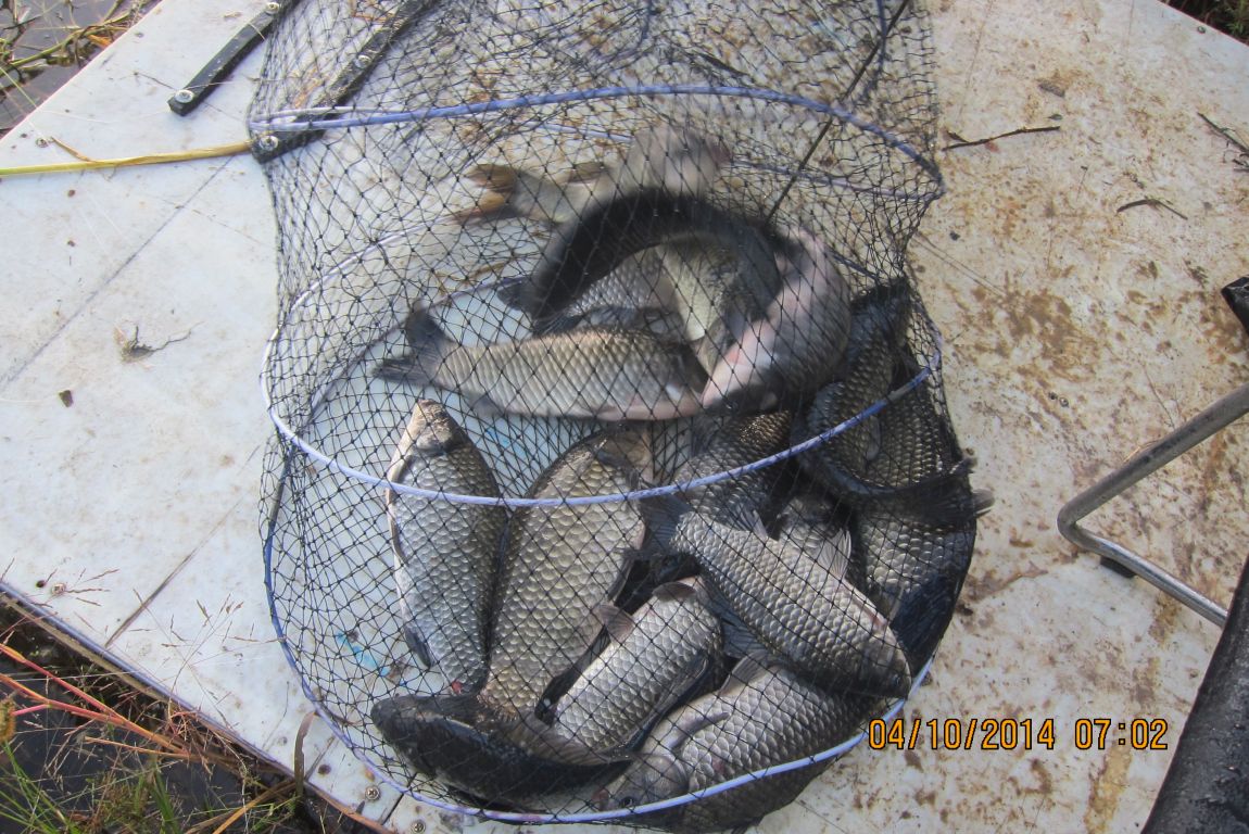 10��7�� 013.JPG