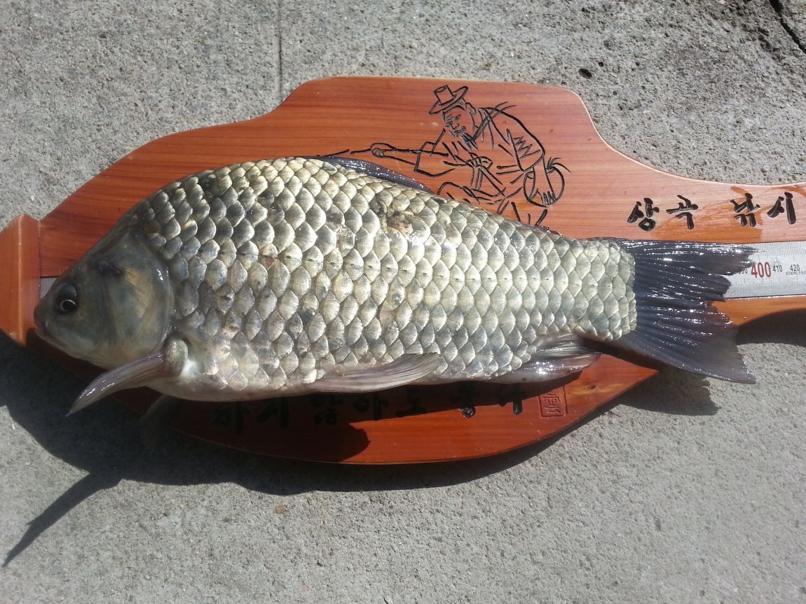 20141004_104809.jpg