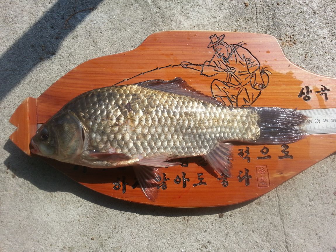 20141007_110834.jpg