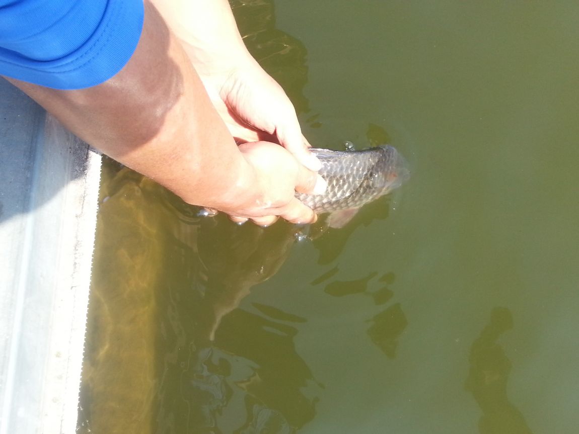 20141007_110914.jpg