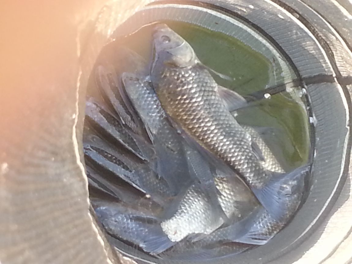 20141005_162350.jpg