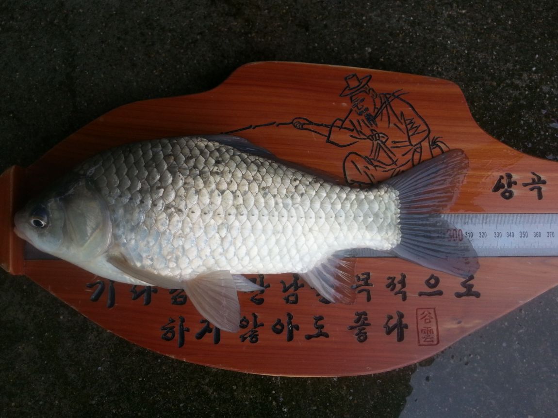 20140929_153433.jpg