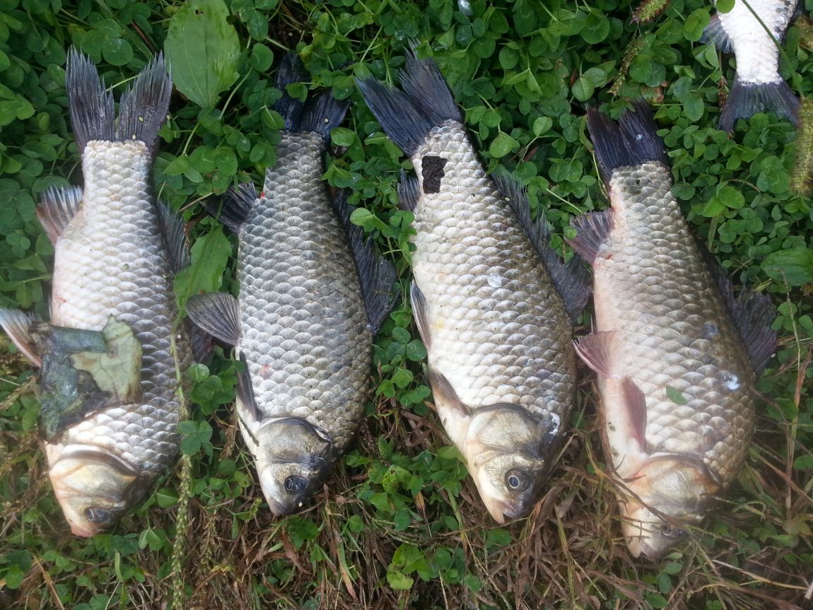 20141003_102515.jpg