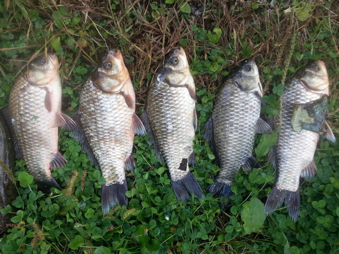 20141003_102533.jpg