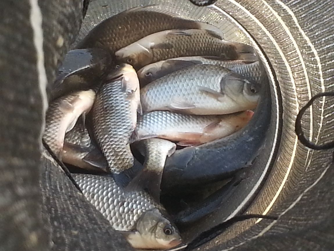 20141004_074117.jpg