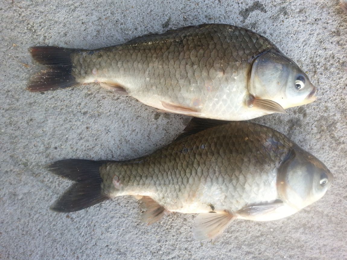 20141004_074236.jpg
