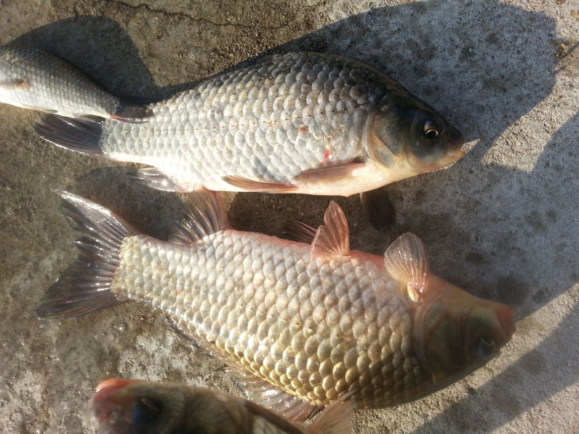 20141004_075247.jpg