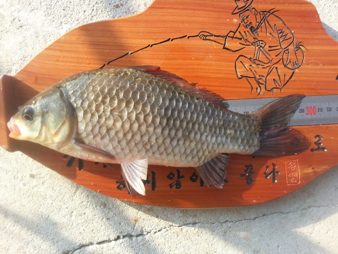 20141004_075303.jpg