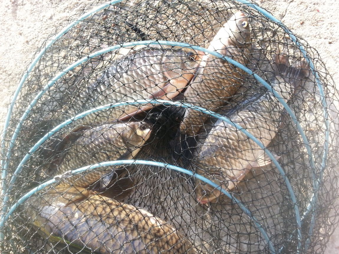 20141005_073122.jpg