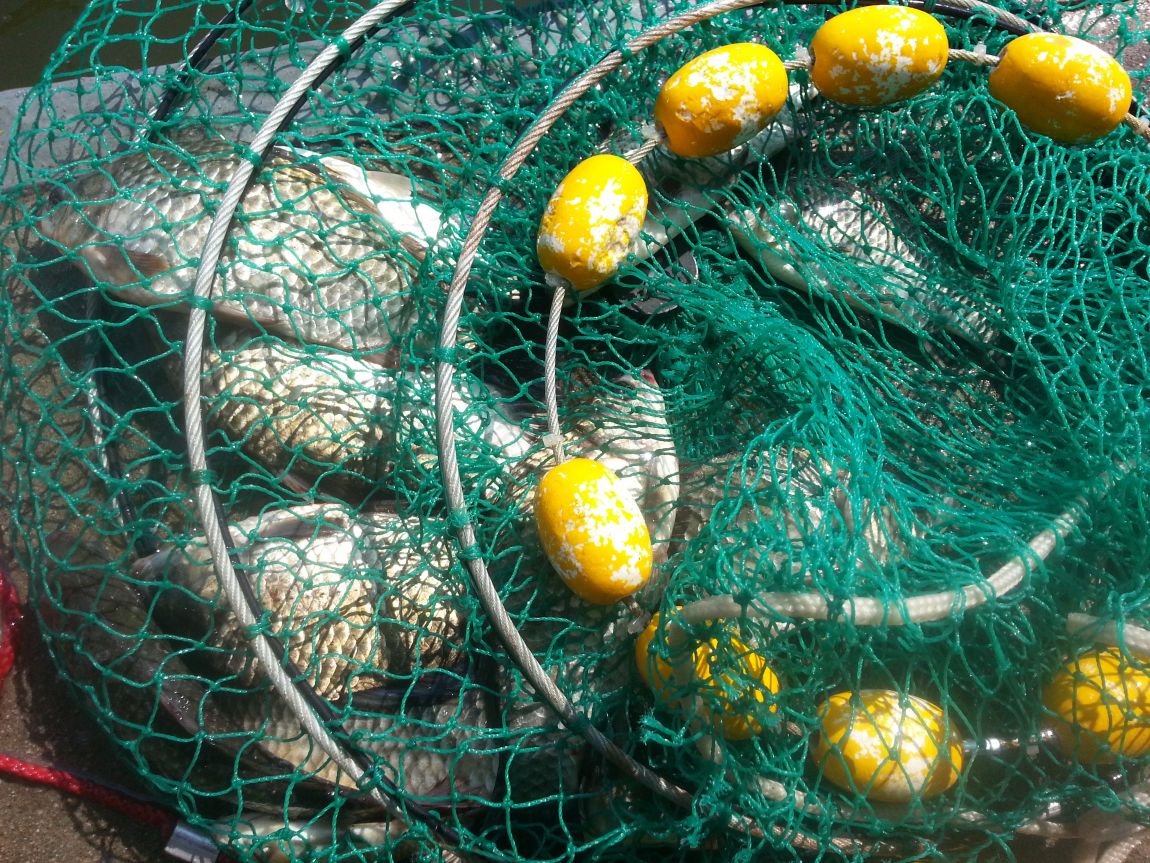 20141007_110929.jpg