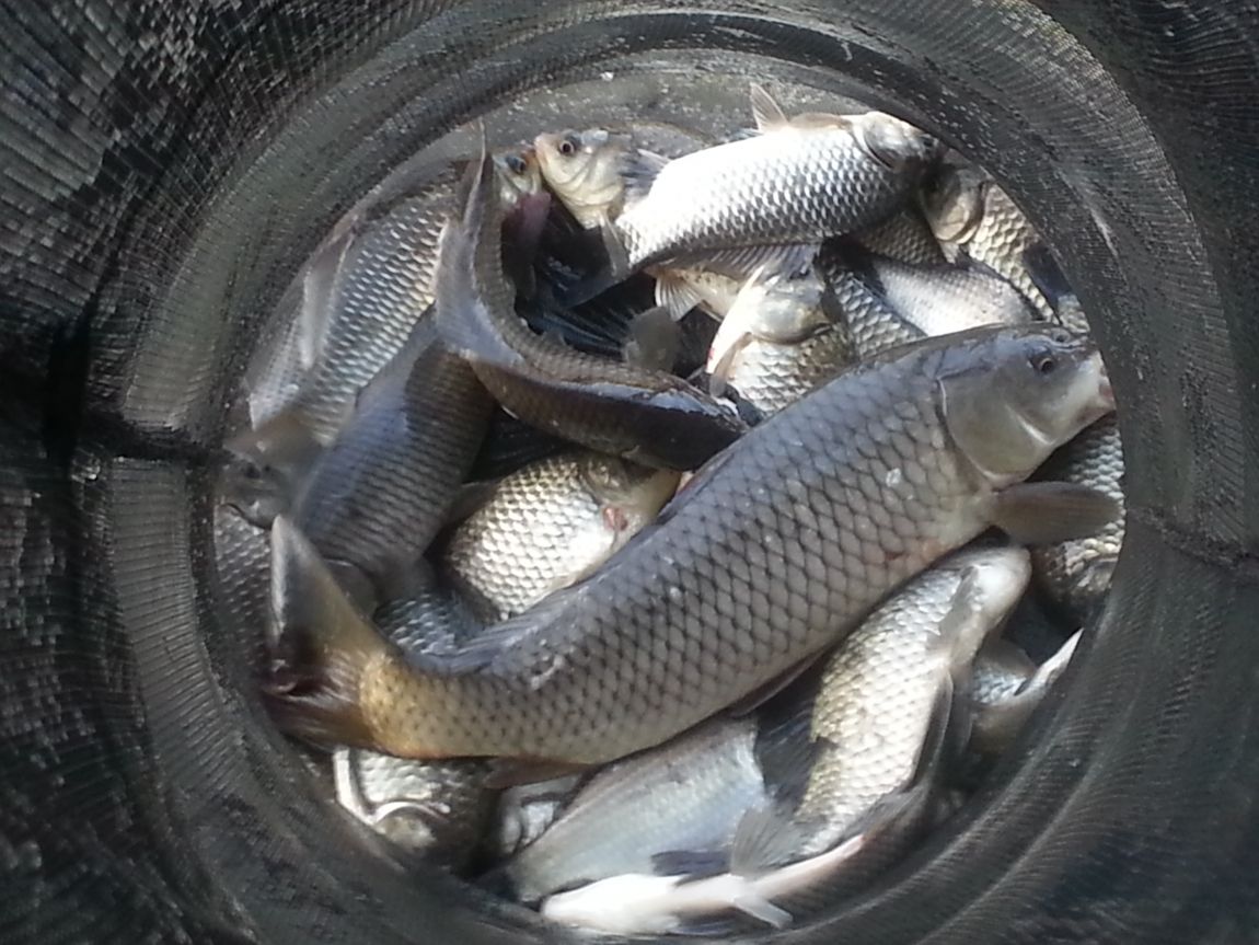 20141005_074811.jpg