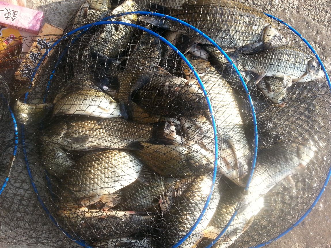 20141005_073718.jpg