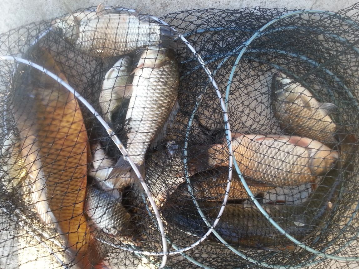 20141005_073303.jpg