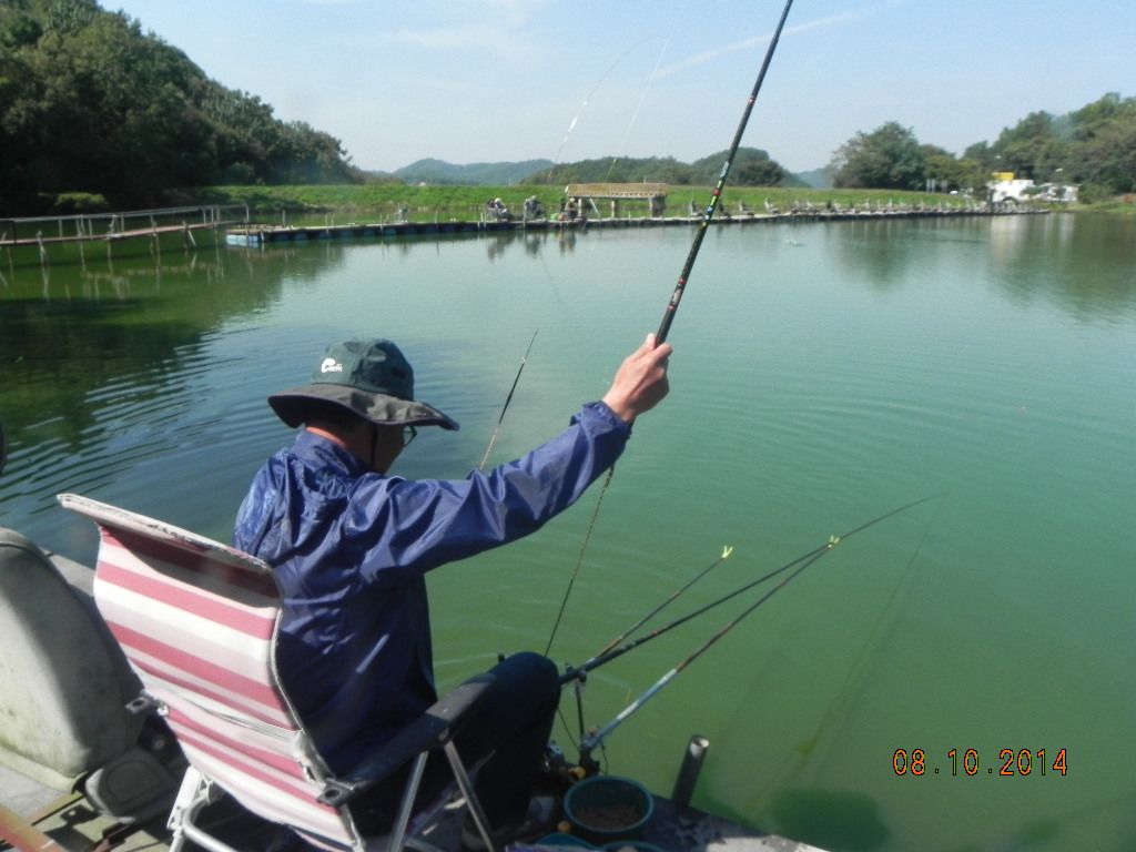 DSCN0161.JPG