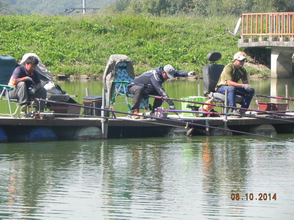 DSCN0164.JPG