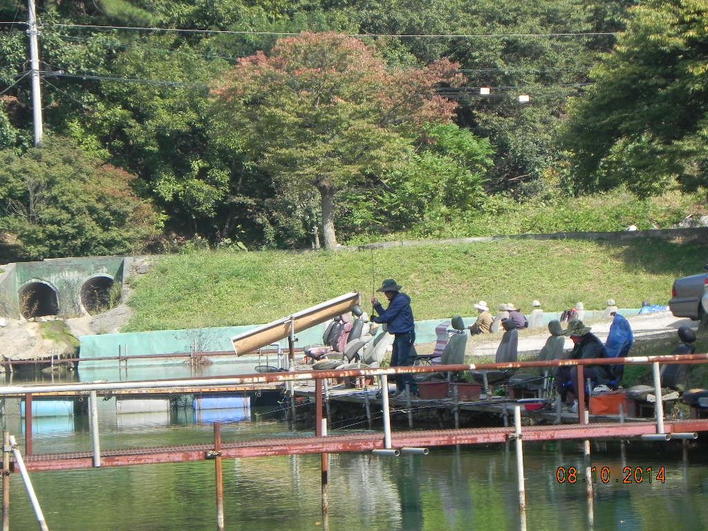 DSCN0168.JPG