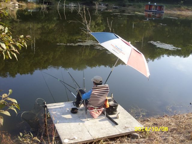 SDC16509.jpg