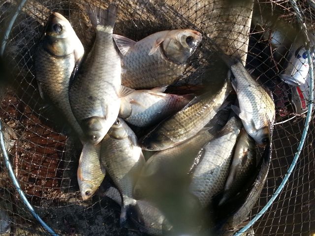 20141005_160737.jpg