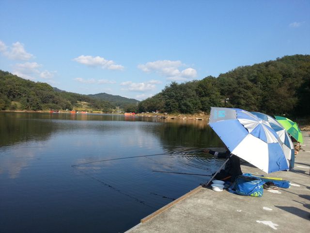 20141006_153811.jpg