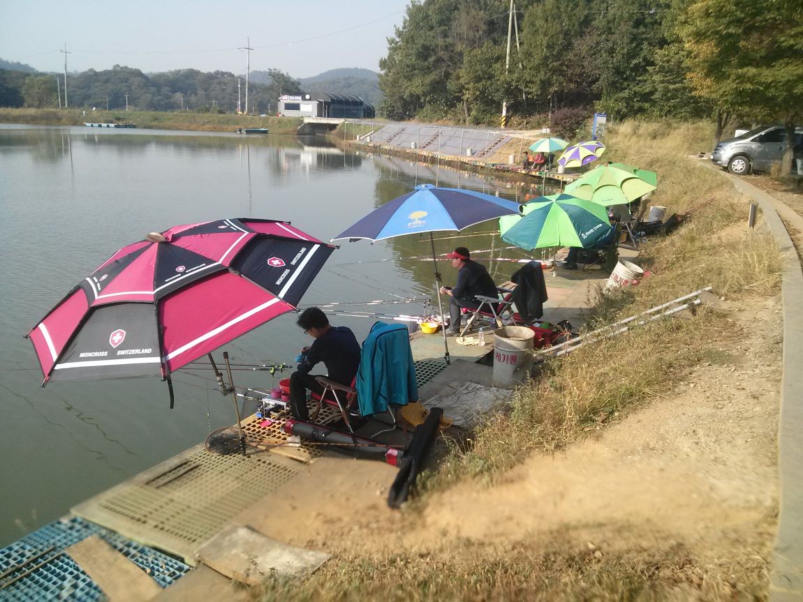 CAM03215.jpg