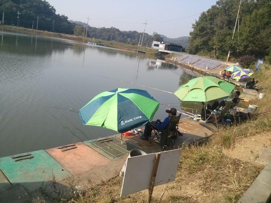 CAM03216.jpg