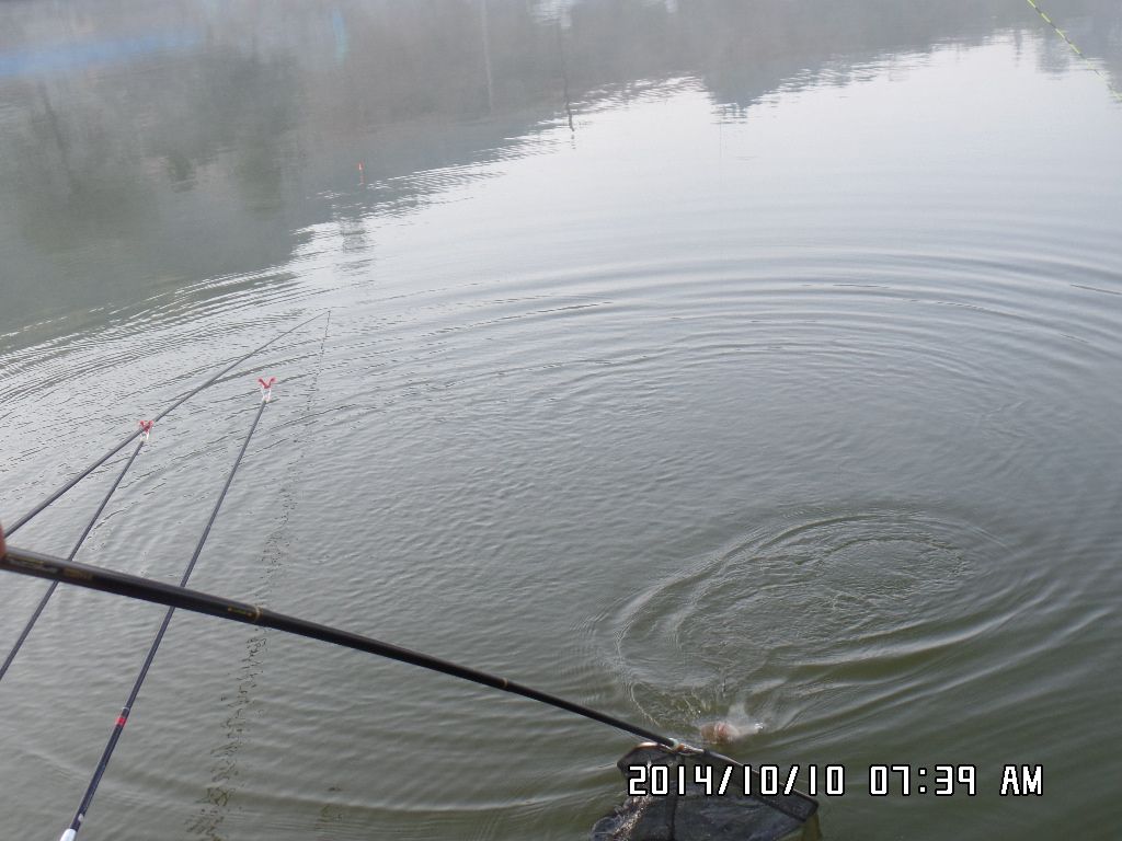 SAM_2490.JPG