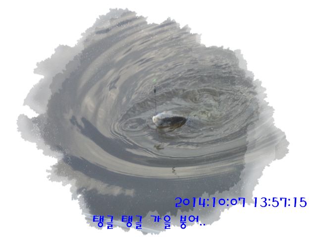 �ٹ̱�_DSC04014.JPG