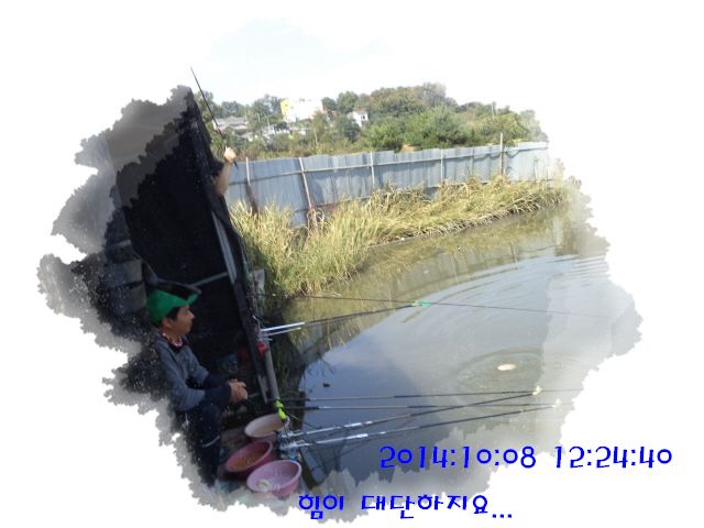 �ٹ̱�_DSC04016.JPG