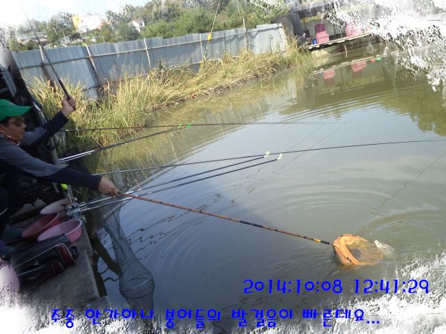 �ٹ̱�_DSC04018.JPG