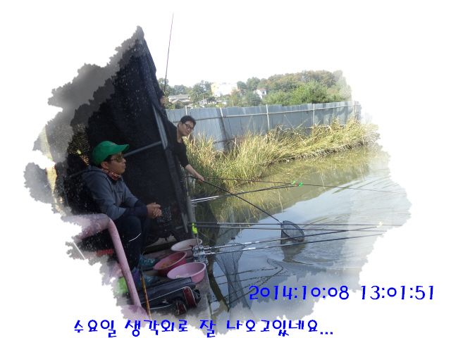 �ٹ̱�_DSC04020.JPG