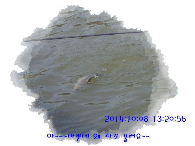 �ٹ̱�_DSC04025.JPG