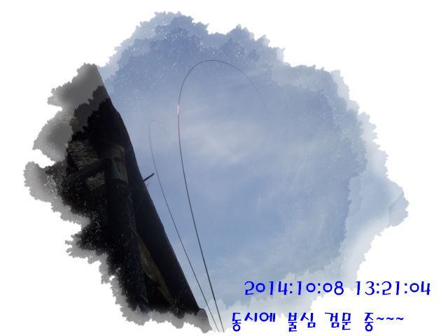 �ٹ̱�_DSC04025.JPG