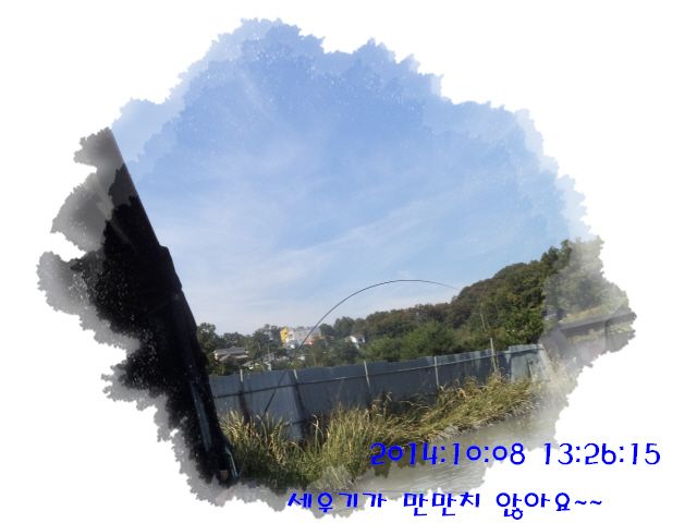 �ٹ̱�_DSC04027.JPG