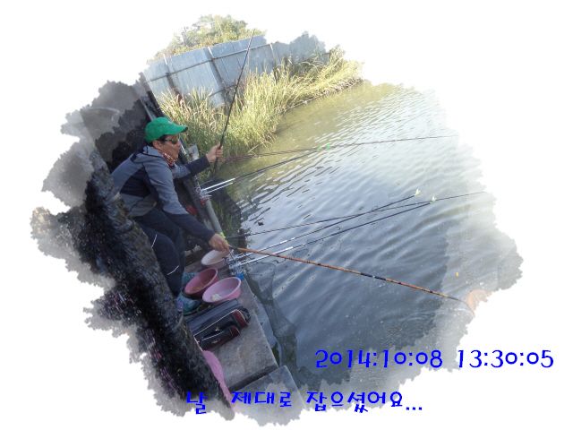 �ٹ̱�_DSC04029.JPG