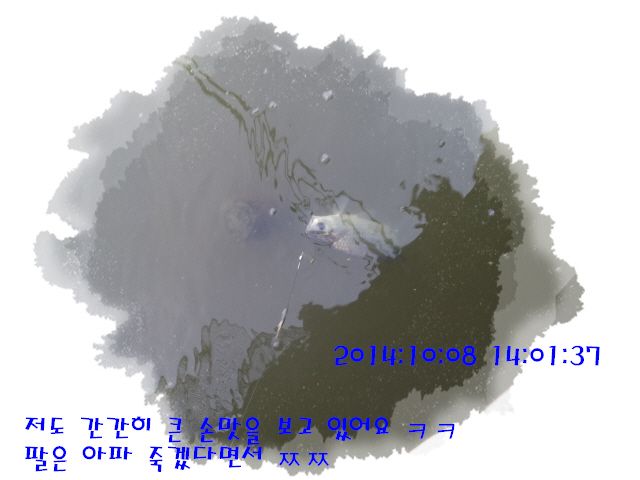 �ٹ̱�_DSC04031.JPG