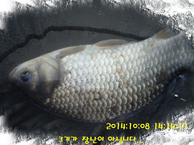 �ٹ̱�_DSC04033.JPG