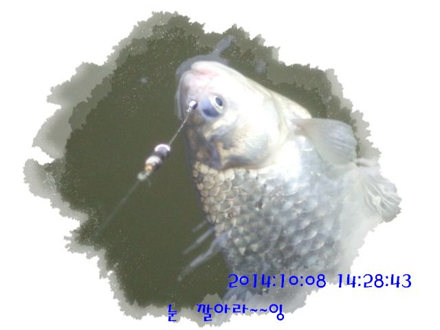 �ٹ̱�_DSC04034.JPG