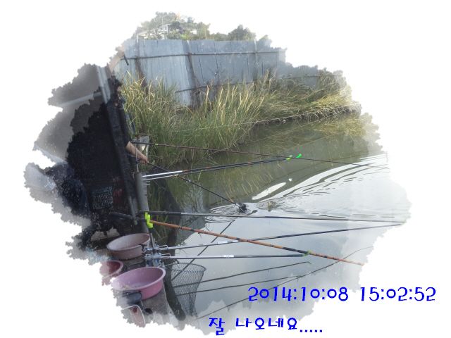 �ٹ̱�_DSC04035.JPG