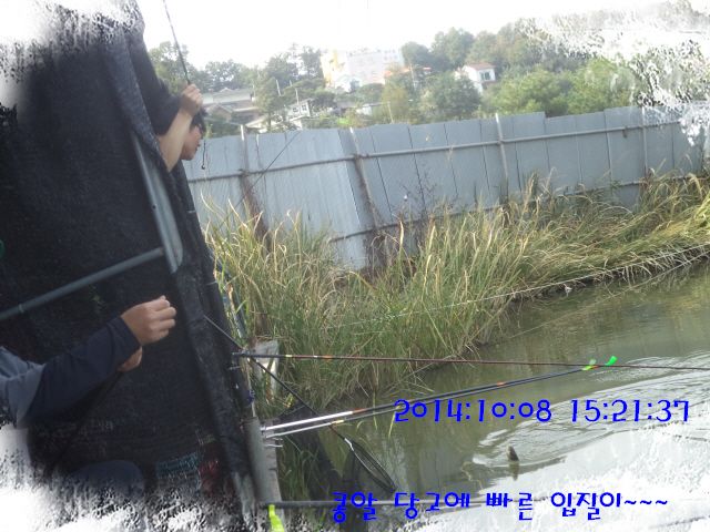 �ٹ̱�_DSC04037.JPG