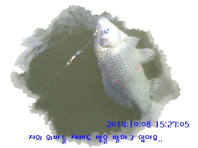 �ٹ̱�_DSC04038.JPG