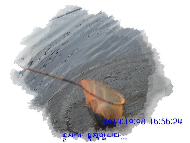 �ٹ̱�_DSC04041.JPG