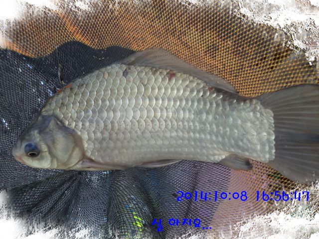 �ٹ̱�_DSC04042.JPG