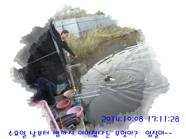 �ٹ̱�_DSC04044.JPG