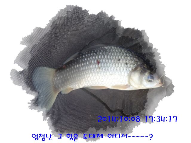 �ٹ̱�_DSC04045.JPG