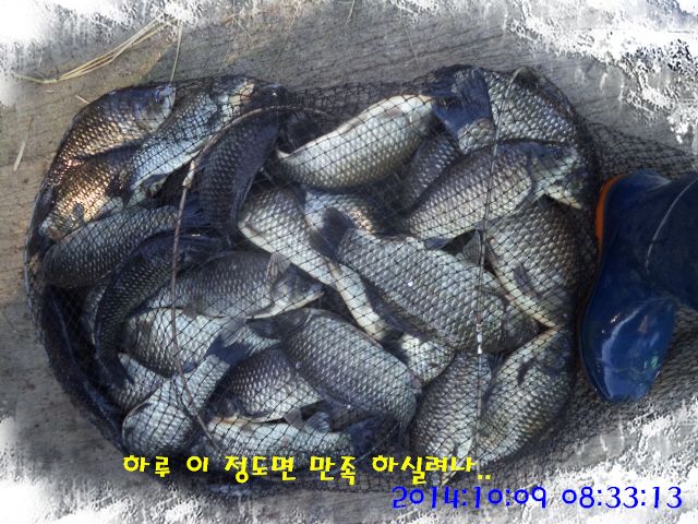 �ٹ̱�_DSC04053.JPG
