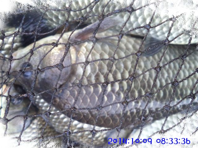 �ٹ̱�_DSC04055.JPG