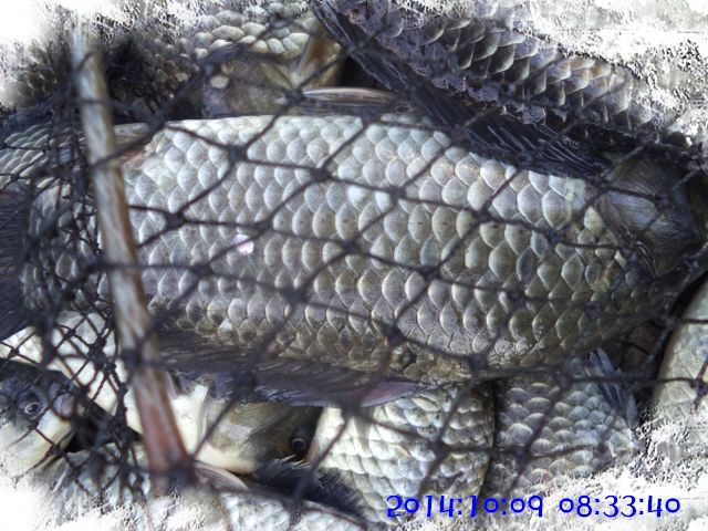 �ٹ̱�_DSC04056.JPG